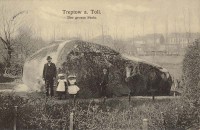 /album/treptow-an-der-tollense/klosterberg-12-grosser-stein-1905web-jpg/